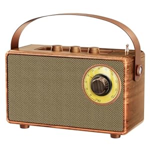 Portable Retro Speaker Bluetooth Radio Vintage Decor with AM FM Radio Rich Bass Bluetooth Speakers 5.3 Wireless Connection,TF Card, AUX for Home Office Bedroom