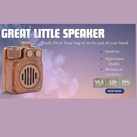 Bluetooth Portable Speaker/FM, Vintage Speaker, USB/Aux Bluetooth Connectivity 10w Bluetooth Speaker (Brown, Stereo Channel)